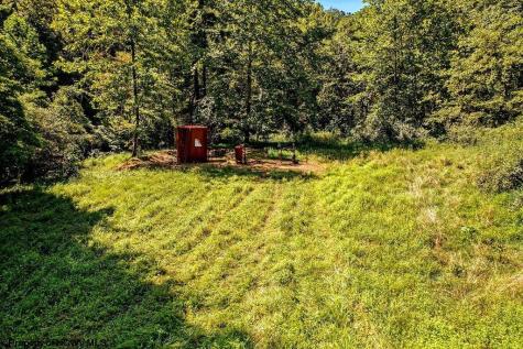 650 Sam Cavins Road West Union WV 26456