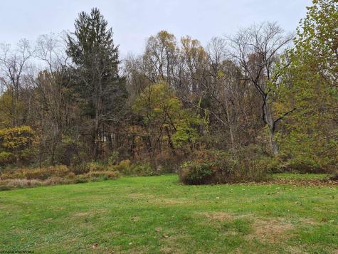 27 N Wilson Street Junior WV 26275