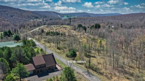 442 Grosbeak Drive Terra Alta WV 26764
