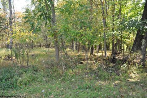 3039 Earl L Core Road Morgantown WV 26508