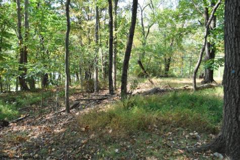 3039 Earl L Core Road Morgantown WV 26508