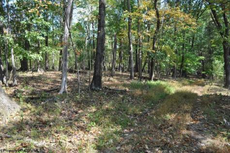 3039 Earl L Core Road Morgantown WV 26508