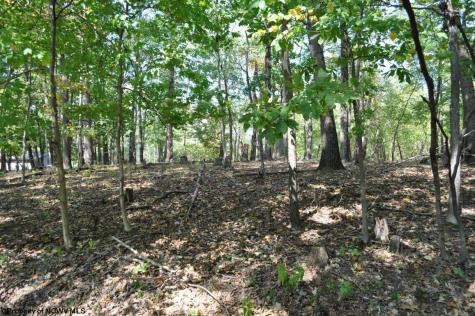 3039 Earl L Core Road Morgantown WV 26508