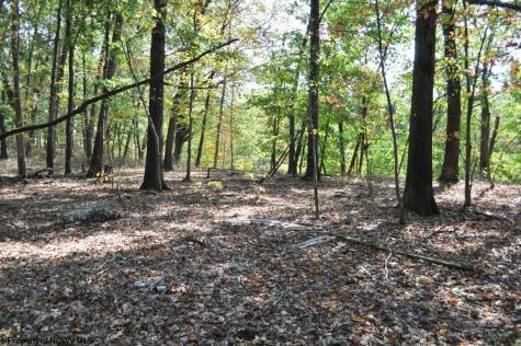 3039 Earl L Core Road Morgantown WV 26508