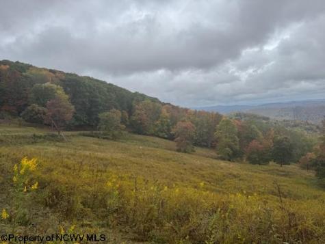 11692 Adolph Road Mill Creek WV 26280