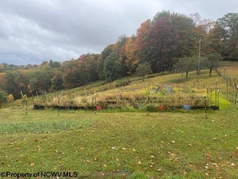 11692 Adolph Road Mill Creek WV 26280