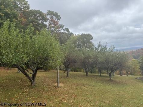 11692 Adolph Road Mill Creek WV 26280