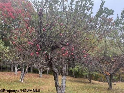 11692 Adolph Road Mill Creek WV 26280