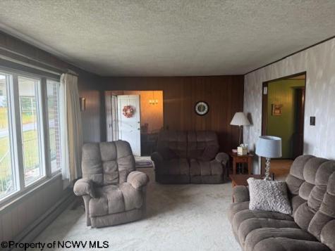 11692 Adolph Road Mill Creek WV 26280