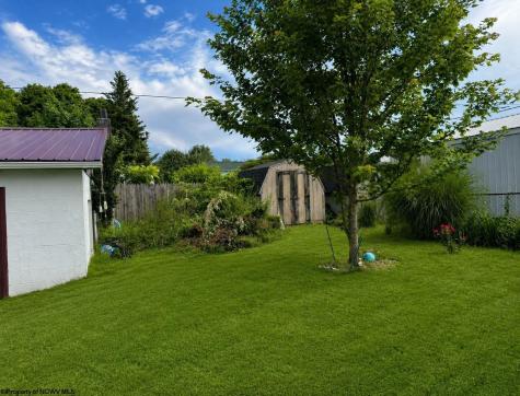 579 Kent Avenue Davis WV 26260