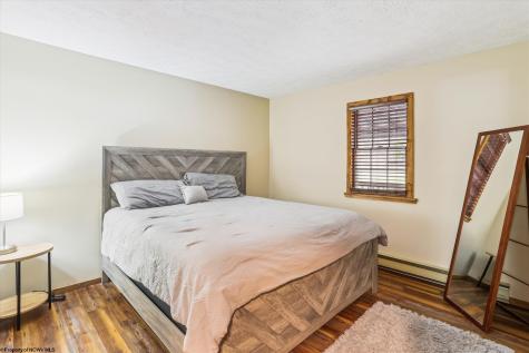 7863 Appalachian Highway Davis WV 26260