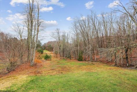 7863 Appalachian Highway Davis WV 26260