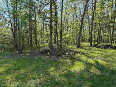 10518 Morgantown Pike Philippi WV 26416