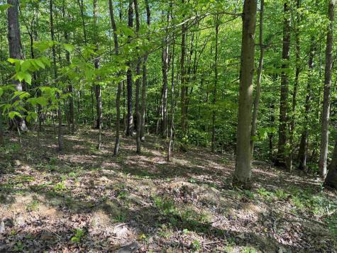 10518 Morgantown Pike Philippi WV 26416