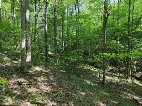10518 Morgantown Pike Philippi WV 26416