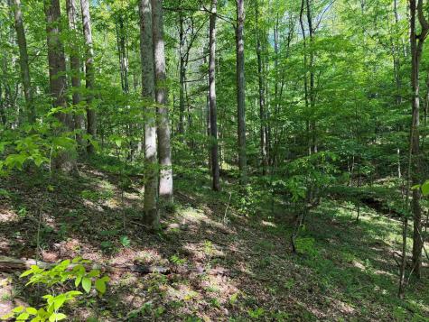 10518 Morgantown Pike Philippi WV 26416