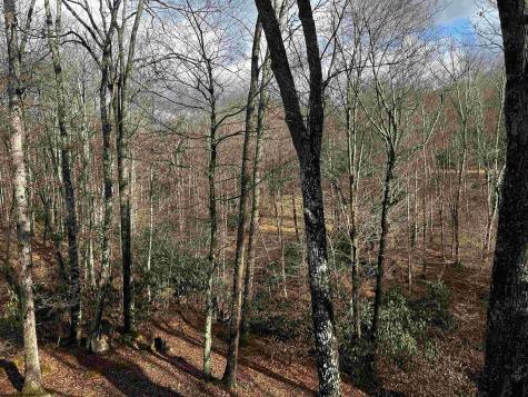 1651 Mabie Road Mabie WV 26278