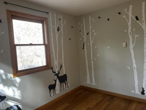 1651 Mabie Road Mabie WV 26278