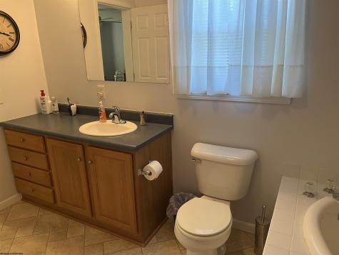 54 Green Acres Jane Lew WV 26378