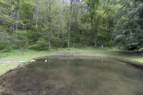 1308 Pleasure Valley Road Montrose WV 26283
