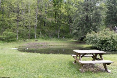 1308 Pleasure Valley Road Montrose WV 26283