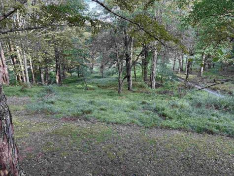 65 Timber Stone Road Bowden WV 26254