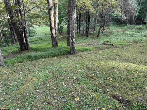 65 Timber Stone Road Bowden WV 26254