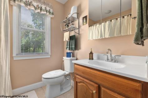 546 Wild Turkey Ridge Lost City WV 26810