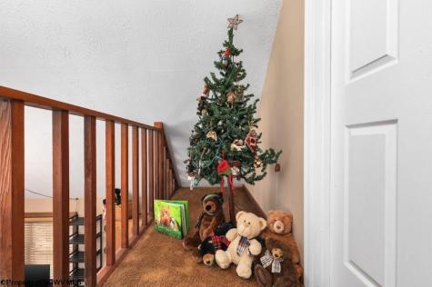 546 Wild Turkey Ridge Lost City WV 26810