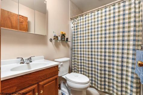 546 Wild Turkey Ridge Lost City WV 26810