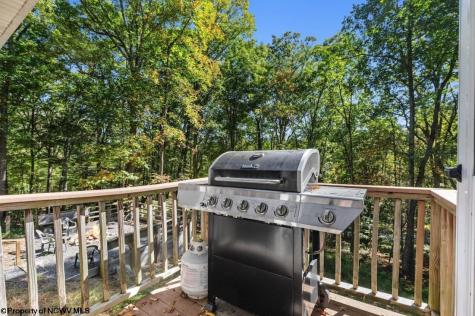 546 Wild Turkey Ridge Lost City WV 26810