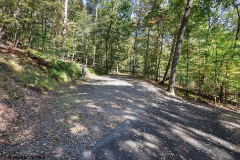 546 Wild Turkey Ridge Lost City WV 26810