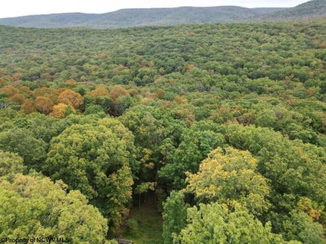 546 Wild Turkey Ridge Lost City WV 26810