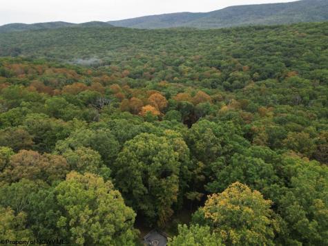 546 Wild Turkey Ridge Lost City WV 26810