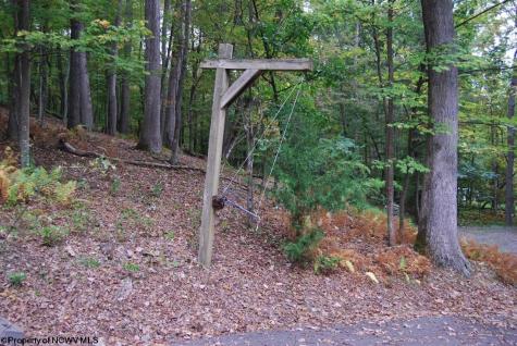 546 Wild Turkey Ridge Lost City WV 26810