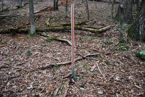 546 Wild Turkey Ridge Lost City WV 26810