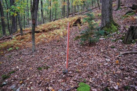 546 Wild Turkey Ridge Lost City WV 26810