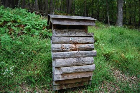 546 Wild Turkey Ridge Lost City WV 26810