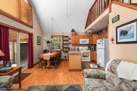 546 Wild Turkey Ridge Lost City WV 26810