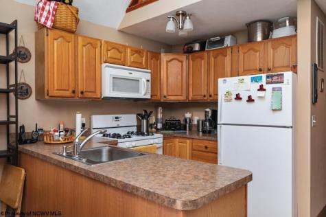 546 Wild Turkey Ridge Lost City WV 26810