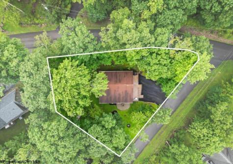 485 Redwood Drive Terra Alta WV 26764