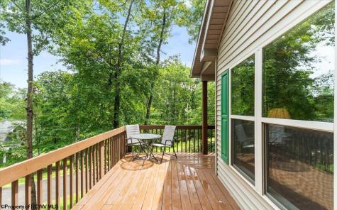 485 Redwood Drive Terra Alta WV 26764