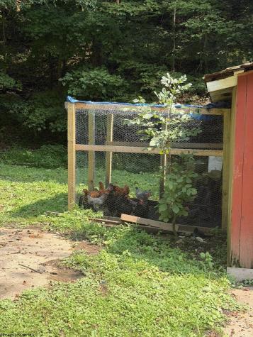 252 Gateway Road Wallace WV 26448