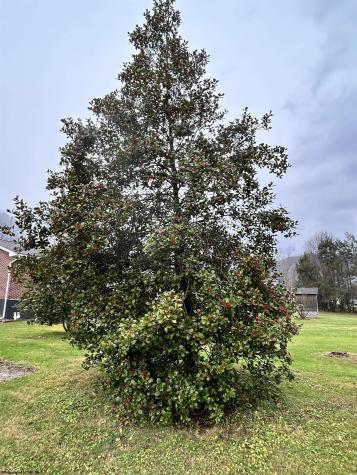 201 Third Street Parsons WV 26287