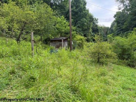 59 Adobe Drive Belington WV 26250