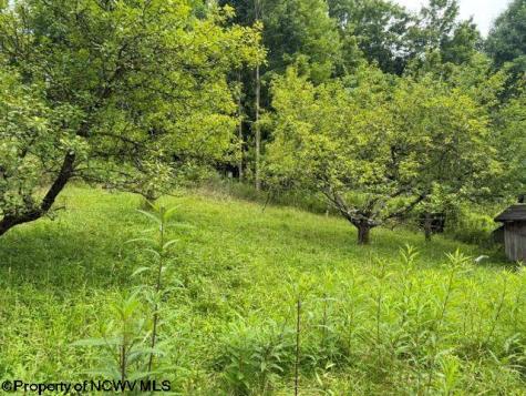 59 Adobe Drive Belington WV 26250