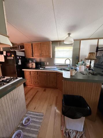 166 Seventh Street Hambleton WV 26269