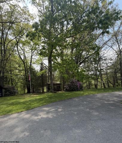 3112 Back Road Mill Creek WV 26280