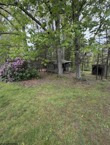 3112 Back Road Mill Creek WV 26280