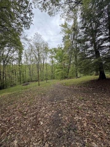 3112 Back Road Mill Creek WV 26280